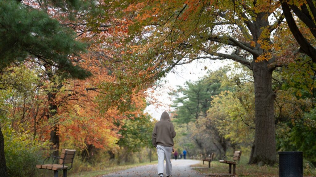 What to expect for fall weather in NJ, per long-term forecasts - Bergen Record