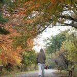 What to expect for fall weather in NJ, per long-term forecasts - Bergen Record