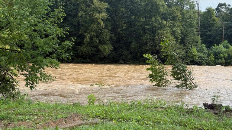 PHOTOS | Overnight rainfall causes severe flooding in southern Somerset County - WJAC