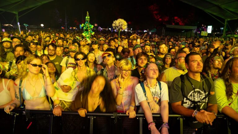 Bonnaroo veterans fear 2027 cancellation could hurt festival's future. 'It breaks my heart' - The Tennessean