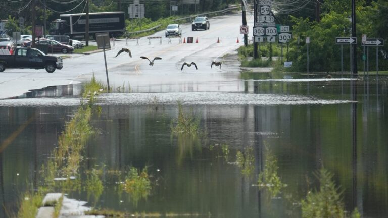Flood advisories, flash flood warning issued for NYC, Hudson Valley - Lohud
