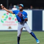 Who is Arjun Nimmala, the big name the Angels got in the Jose Soriano trade? - USA Today