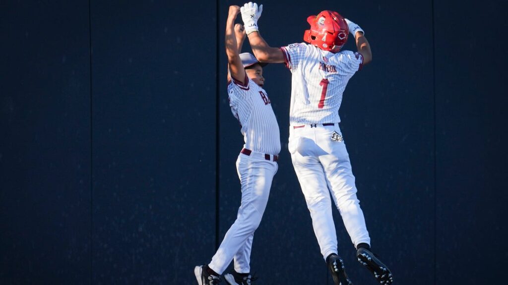 Bayonne headed to Little League World Series after winning Metro title - Bergen Record