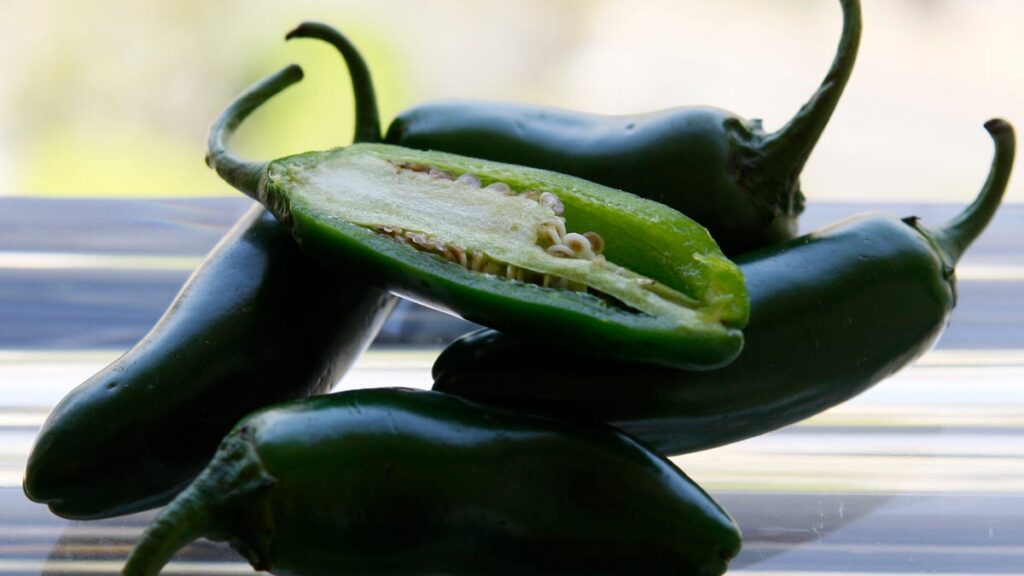 Salmonella outbreak linked to jalapenos. Do we have to worry in NJ? - Bergen Record