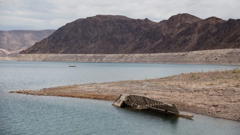 Gruesome find: More human remains discovered at shrinking Lake Mead - USA Today