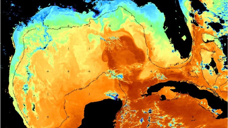 A warmer Gulf of Mexico is a big deal for Florida | Opinion - Sarasota Herald-Tribune