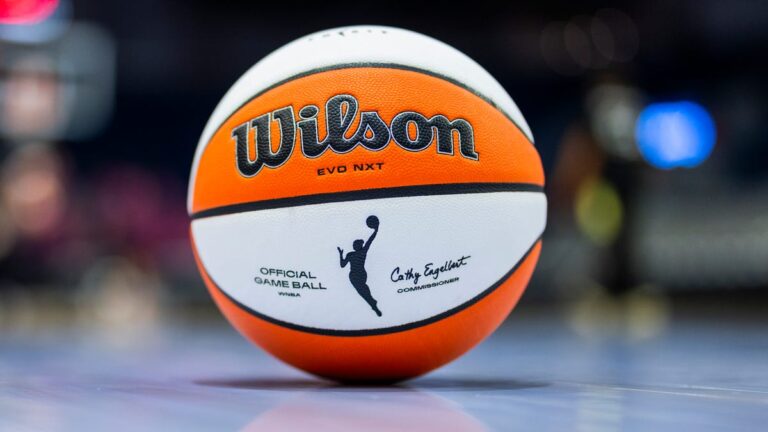 WNBA games interrupted by sex toys thrown on courts: Why is it happening again? - USA Today