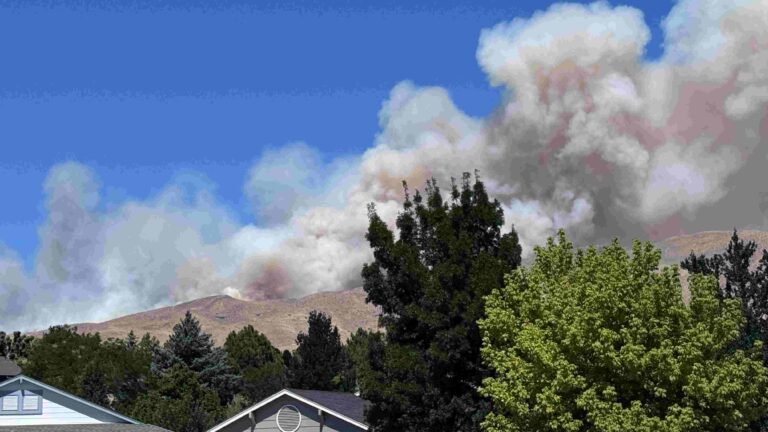 Watch: Hawk Fire near Somersett - Reno Gazette Journal