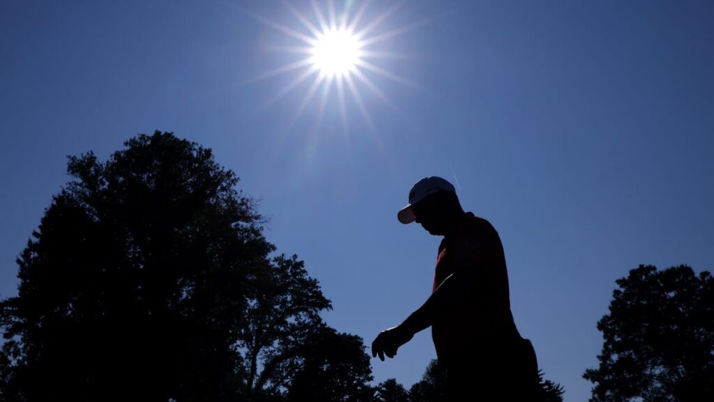 BMW Championship leaderboard, final round tee times, how to watch Sunday golf - USA Today