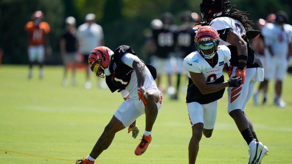 Bengals star WR Ja'Marr Chase injured during training camp practice - Cincinnati Enquirer