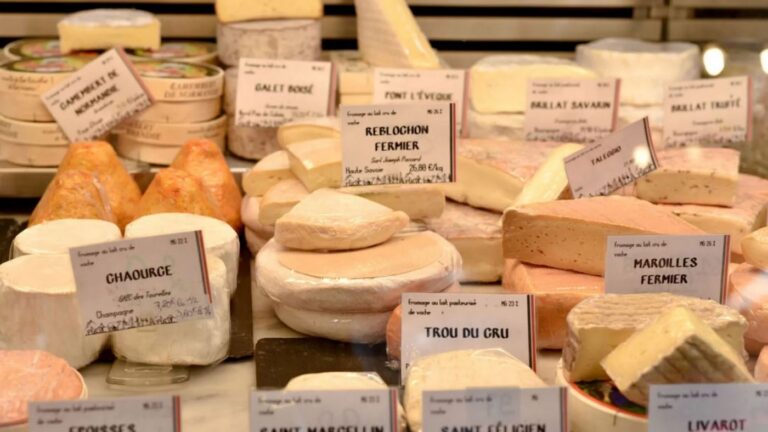 Cheese Lovers Unite: The Benefits of Full-Fat Dairy Documented in Study Without Cholesterol Rise or Weight Gain - Good News Network