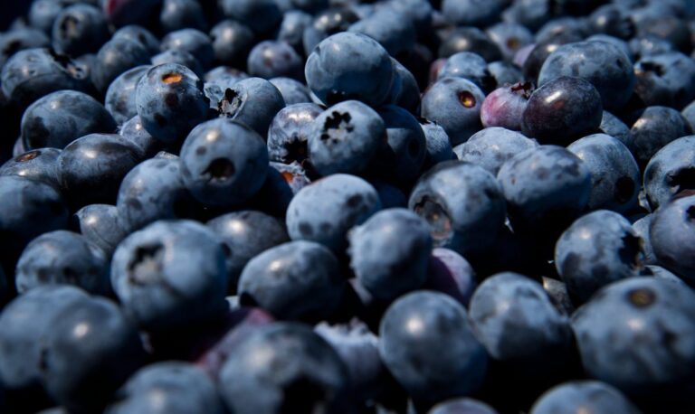 Thousands of blueberries recalled as FDA issues highest risk warning - Newsweek