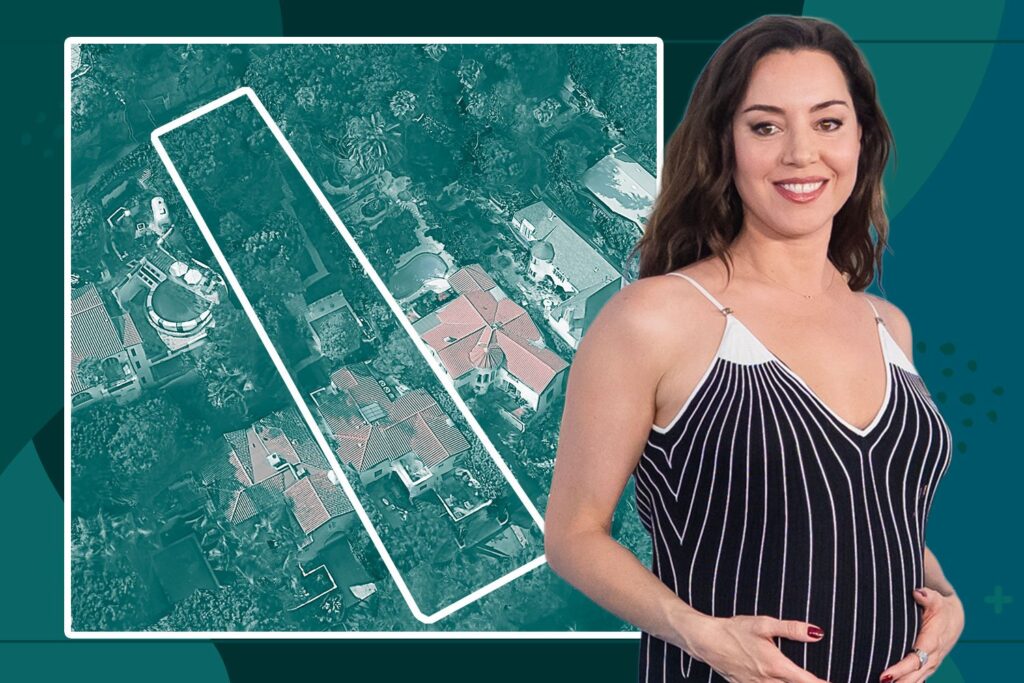 Aubrey Plaza finds buyer for Los Feliz home after year of price cuts, relisting - The Real Deal