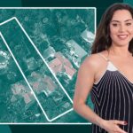 Aubrey Plaza finds buyer for Los Feliz home after year of price cuts, relisting - The Real Deal