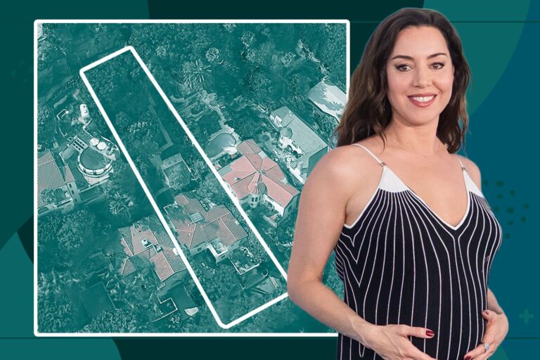 Aubrey Plaza finds buyer for Los Feliz home after year of price cuts, relisting - The Real Deal