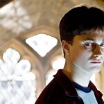 ‘Harry Potter’ fans succeed in moving construction project to avoid Dobby’s grave - NME