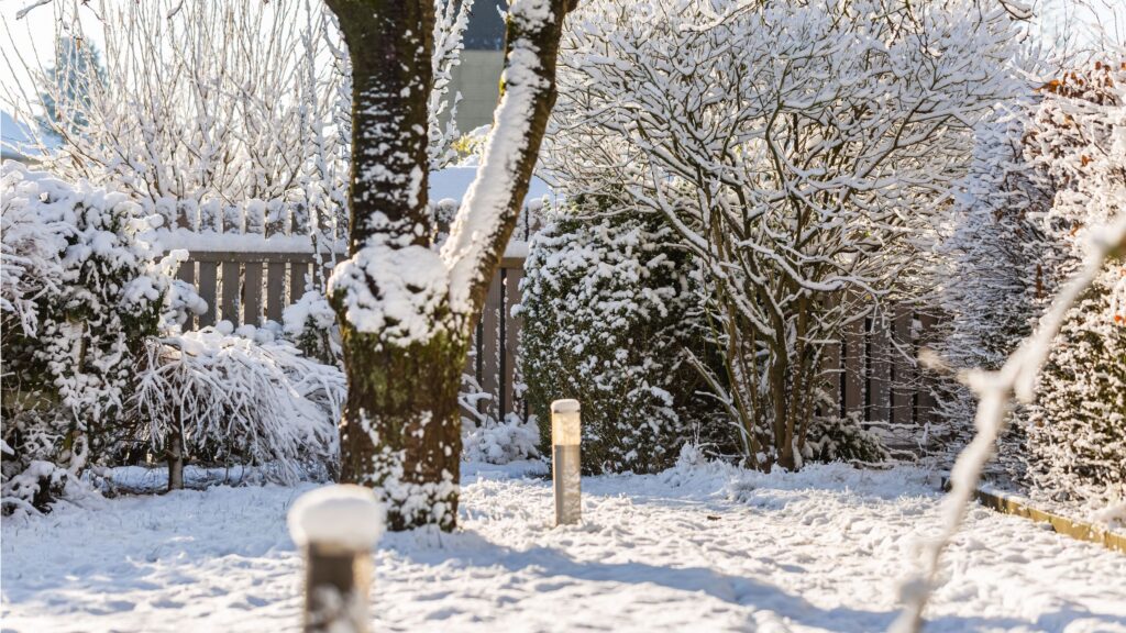 Farmers' Almanac Winter Forecast 2026: Prepare Your Yard Now - Homes and Gardens