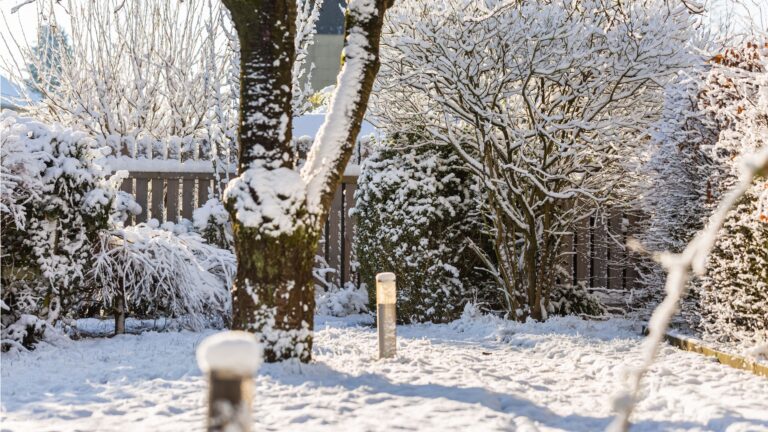 Farmers' Almanac Winter Forecast 2026: Prepare Your Yard Now - Homes and Gardens