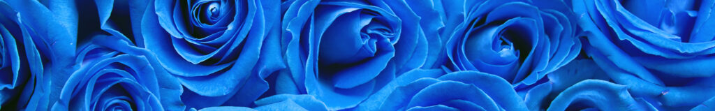 Obituary for Betty Jean Hughes Uriegas - Memorial Park Funeral Homes