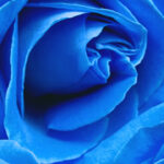 Obituary for Betty Jean Hughes Uriegas - Memorial Park Funeral Homes