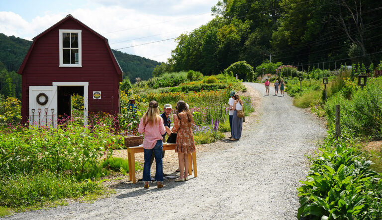 Garden Day Invites Visitors To Explore Three Woodstock Gardens - Mountain Times