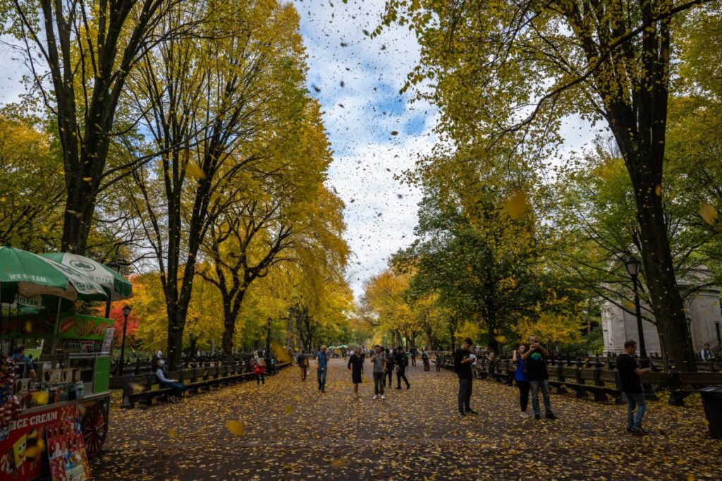 Old Farmer’s Almanac predicts September weather across U.S. - Newsweek