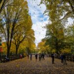 Old Farmer’s Almanac predicts September weather across U.S. - Newsweek