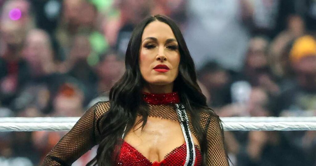 Brie Bella Addresses Shoulder Injury at WWE SummerSlam: ‘Don’t Let Broken Bones Stop Us’ - Us Weekly