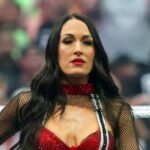 Brie Bella Addresses Shoulder Injury at WWE SummerSlam: ‘Don’t Let Broken Bones Stop Us’ - Us Weekly