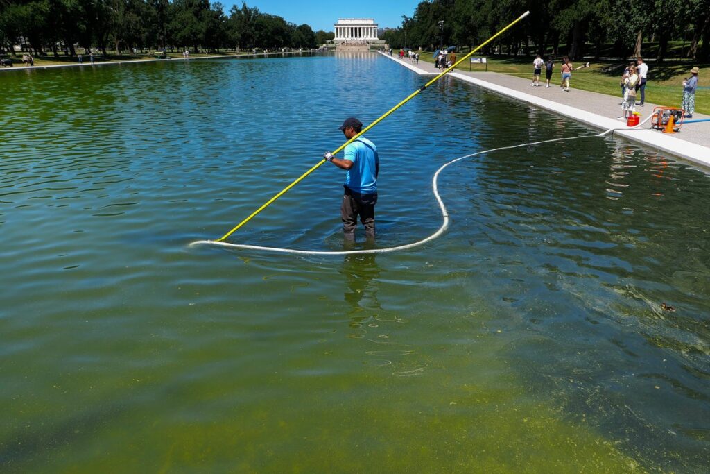 Trump picks loyalist to oversee probe into what went wrong with the Reflecting Pool - The Independent
