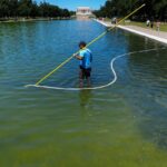 Trump picks loyalist to oversee probe into what went wrong with the Reflecting Pool - The Independent