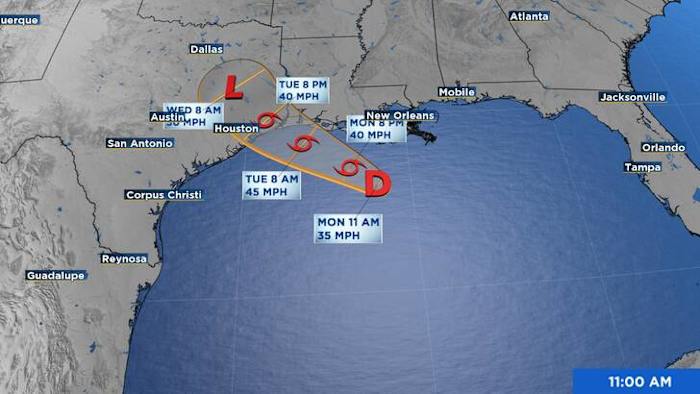 Tropical Depression Forms Over The Northern Gulf Of America - WKMG