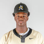 H-F’s Hamilton plays in the Hank Aaron Invite - HF Chronicle