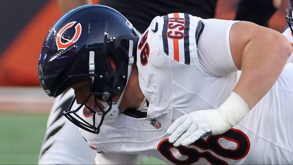 Bears better hope their Jordan van den Berg gamble pays off right away - Bear Goggles On