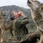 Marcos Rodríguez Pantoja, the ‘wolf boy of Sierra Morena’, dies at 80 - SSBCrack