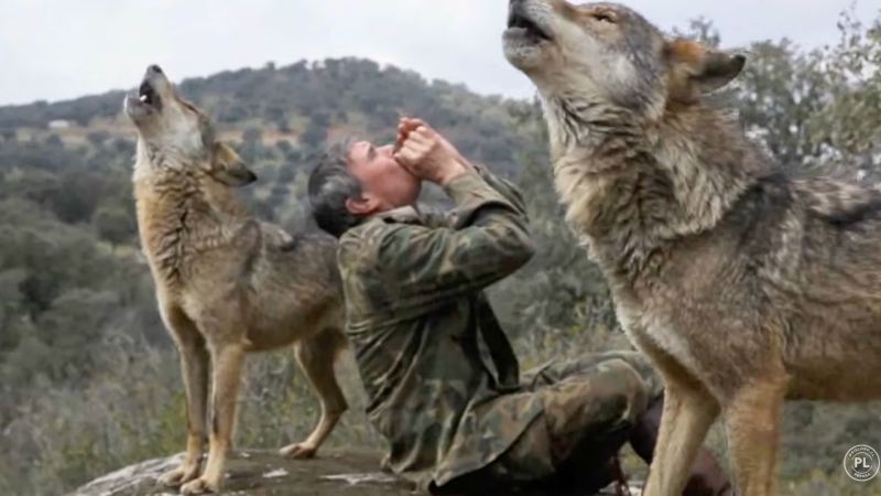 Marcos Rodríguez Pantoja, the ‘wolf boy of Sierra Morena’, dies at 80 - SSBCrack