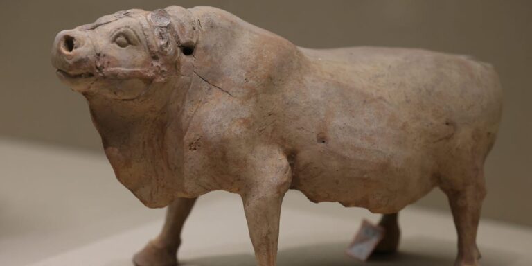 Mysterious Ox Alpha AI Model Gains Attention Amid Speculation on Its Origins - SSBCrack
