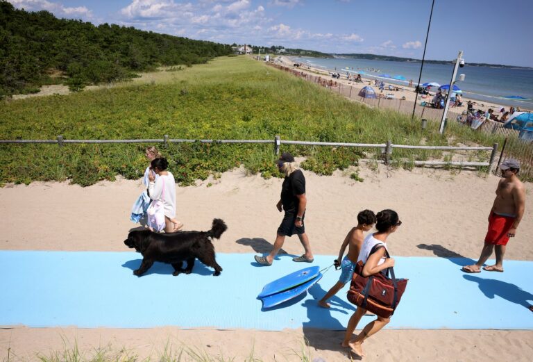 Maine beach uses drones, jet ski to ward off rising tide of sharks - The Boston Globe