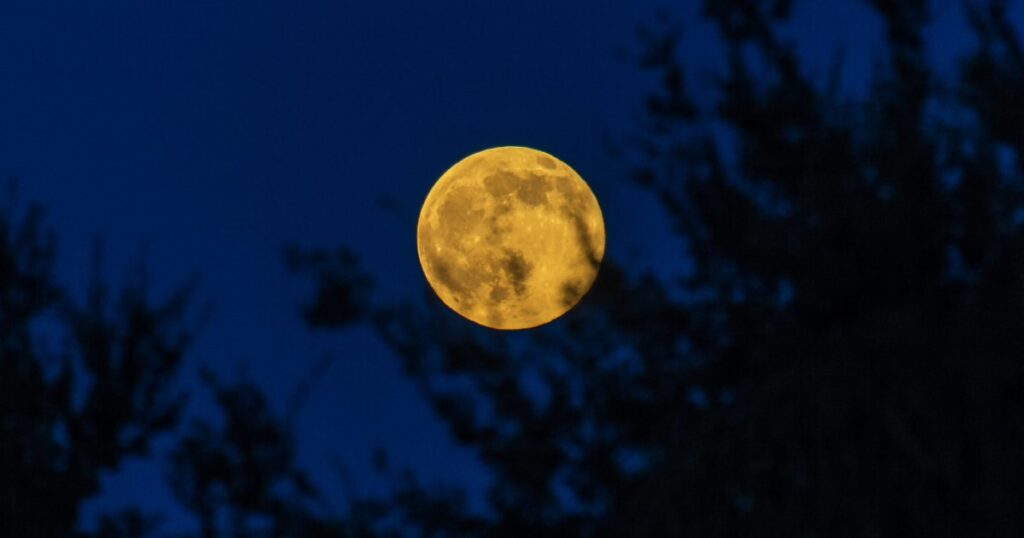 2026 Full Moon calendar: When to see the Full Moon and phases - Astronomy Magazine