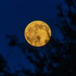 2026 Full Moon calendar: When to see the Full Moon and phases - Astronomy Magazine