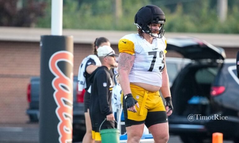 Hoke Describes What He Wants To See From Two Steelers' Rookies During Preseason Slate - Steelers Depot