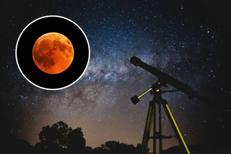 With a Blood Moon and a planetary alignment visible to the naked eye, São Paulo’s sky will feature three rare phenomena in August—check the peak viewing time in the early morning of the 27th - São Paulo Secreto