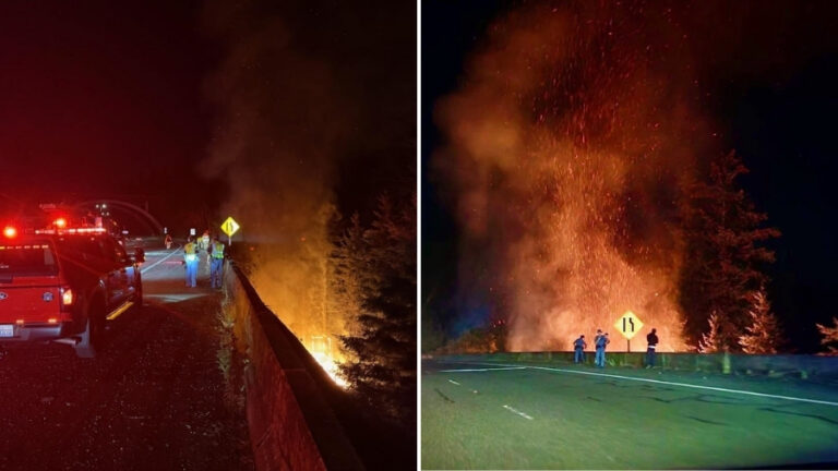 Encampment fire burns for hours along I-5 in Olympia before crews extinguish it - MyNorthwest.com