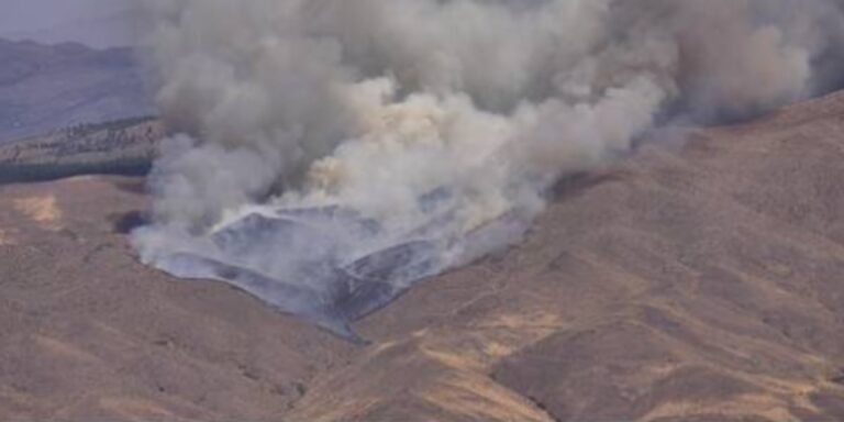 Hawk Fire burning near Somersett in Reno - KOLO | 8 News Now