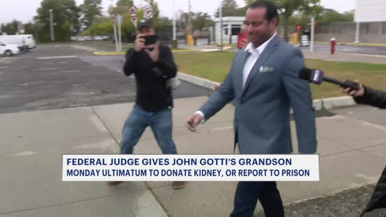 Gotti Grandson Has Until Monday To Donate Kidney To Mother Or Report To Prison - News12 | Long Island