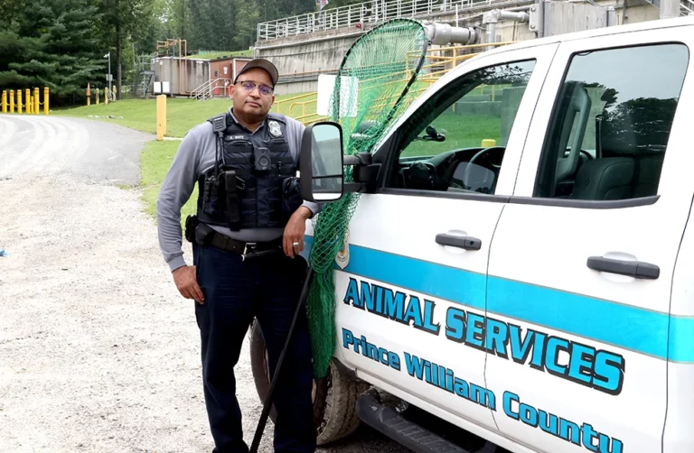 An After-Hours Rescue Gives a Young Eagle a Second Chance - Prince William Living