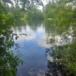 Where to Swim and Where to Avoid for End-of-Summer Fun - TacomaWeekly