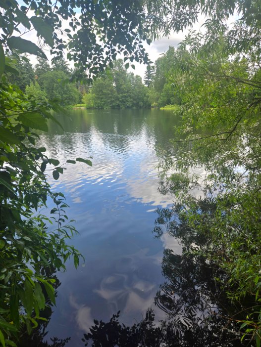 Where to Swim and Where to Avoid for End-of-Summer Fun - TacomaWeekly