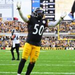 Steelers Release Former Starting Linebacker in Unexpected Move - heavy.com