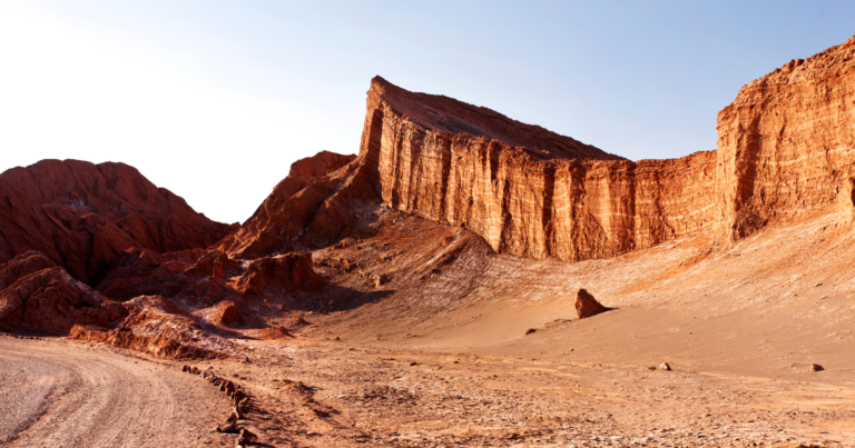 Rain fell across part of the Atacama Desert in 2015 and again in 2017 after roughly five centuries without it, but instead of reviving the driest place on Earth, it wiped out as much as 87 percent of the microbial species living there - ScienceBlog.com
